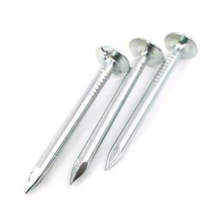 Clous de toiture en acier électrogalvanisé à tête plate et tige lisse, vente directe d'usine en Chine, certifiés ISO9001 - Product Image 5