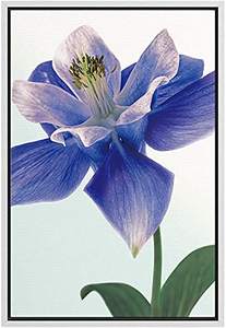 Plaques d'immatriculation de haute sécurité certifiées ISO avec filigranes holographiques et motif de <span class=keywords><strong>CODE</strong></span> QR plaque d'immatriculation personnalisée - Product Image 6