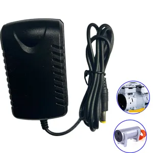 OEM/ODM personalizado 12V2.5A adaptador de corriente bomba de aire del fabricante con conexión de enchufe Salida de CC