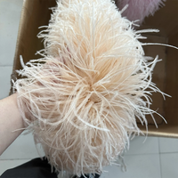 Plumes d'Autruche Naturelles Boa 1 3 6 10 15ply, Plumes de Couleur Fluffy pour Artisanat, Vêtements, Décoration de Robe de Mariage, Châle Plumas, 2M
