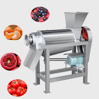 Extracteur de jus industriel 2024 pour raisin, oignon, pêche, gingembre, fruits tropicaux et orange, pour la production de jus de goyave