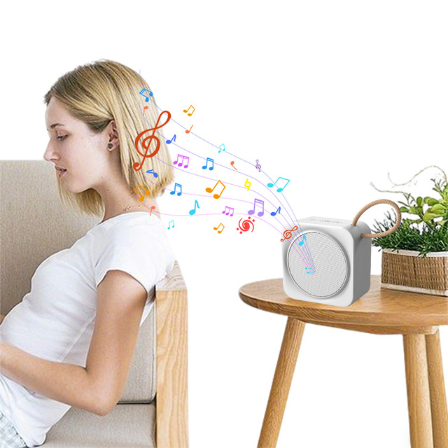 Professional Waterproof Speaker for Outdoor Garden with Three Input Modes for Relaxing