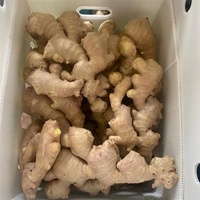 Anqiu Origin Gingembre séché à l'air frais