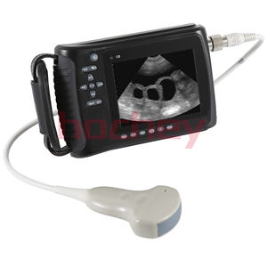 MT peralatan medis dokter hewan, pemindai Ultrasound sapi genggam tes kehamilan Ultrasound Probe domba - Product Image 1