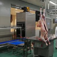 Proyecto Llave en Mano para Mataderos de Ovejas |   Solución Integral Automatizada para Equipos y Construcción