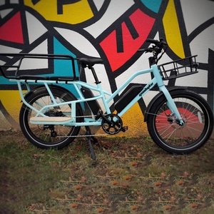 Bicicleta eléctrica de carga GEOBYKE personalizada, bicicleta eléctrica de carga de 48V <span class=keywords><strong>y</strong></span> 250W, la mejor bicicleta eléctrica de carga - Product Image 1