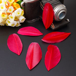 Venta al por Mayor de Plumas de Ganso Flotantes de Colores de 4-8 cm para Manualidades, Accesorios de Ropa y Decoración de Bodas - Product Image 2