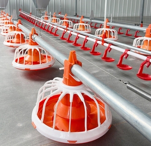 Nuova Linea di Alimentazione GIGA+ Galvanizzata da 3 Metri/Diametro 45mm per Allevamento di Polli in Pavimento - Product Image 6