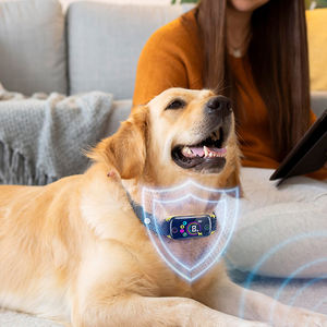 El más nuevo MINI LED pantalla sin ladridos <span class=keywords><strong>Collar</strong></span> impermeable recargable pitido vibración choque perros cachorro Anti ladridos Control <span class=keywords><strong>Collar</strong></span> - Product Image 1