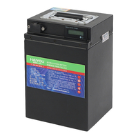 Ramah lingkungan Tingkat pengeluaran sendiri baterai Lithium besi fosfat ringan tipe vertikal 48 Volt baterai Lithium Ion