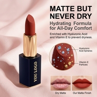 Rouge à lèvres vegan longue tenue, résistant aux bavures, 24 couleurs tendance, vente en gros, étiquetage OEM, emballages multiples, imperméable, best-seller