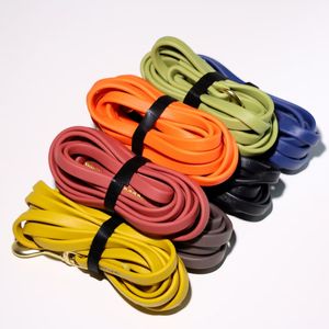 Correa Larga de PVC Personalizada para Perros OEM, Correa de Adiestramiento Impermeable y Duradera con Cinta Recubierta de PVC y Patrón Sólido para Perros Grandes y Medianos - Product Image 6