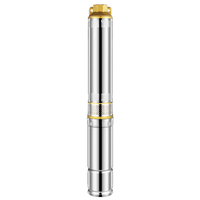Pompe à eau solaire submersible à haute efficacité 24V 300W DC pour système agricole