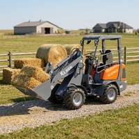 Chargeuse sur pneus compacte KL906 Euro V de qualité supérieure, capacité de charge de 600 kg, transmission hydrostatique, idéale pour les travaux d'élevage.