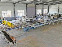 Defectdetectie Uiterlijk AI Fruit Diameter Maat Kleur Sortering CCD Beschadigde Mandarijn Citrus Visie Fruit Sorteermachine