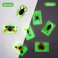 Taxidermie Creative New Lumineux Ambre Insecte Réel Insecte Artisanat Résine Spécimen Rouge Bugs Glowing Spécimen