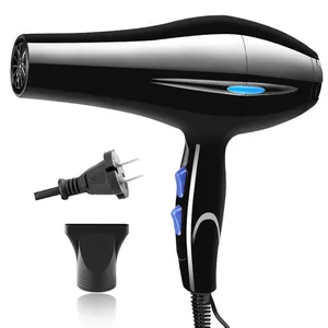 Hot Sales 2024 Professional 5-in-1 High Speed Ionic Hair Dryer One-Step Solution Home Salon Travel Car/RV Use Electric Source