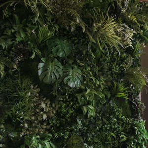 Mur d'herbe de mur de <span class=keywords><strong>buis</strong></span> artificiel en plastique anti-UV plante mur vert pour <span class=keywords><strong>la</strong></span> décoration extérieure intérieure - Product Image 5