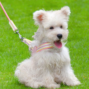 Rarewe Aksesori hewan peliharaan, Set harnes anjing berbentuk Y, tali anjing warna, harnes anjing untuk Highland White <span class=keywords><strong>Terrier</strong></span> Barat - Product Image 4