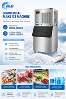 Machine à glace en flocons commerciale, machine à glace en flocons, fabricant de glace en flocons