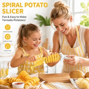 Ensemble de 6 spirales en acier inoxydable, coupe-légumes multifonctionnel, parfait pour faire des spirales de pommes de terre, des carottes, outil de cuisine - Product Image 3