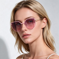 Lunettes de soleil polarisées à clip magnétique œil de chat en TAC, monture optique en acier inoxydable pour femmes, personnalisables OEM