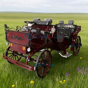 ZHENDA Luxury Electric Sightseeing Horse Carriage 6-Person Capacity Steel <b>Frame</b> Customizable Color-Horseless Fashion for Parks - Product Image 4