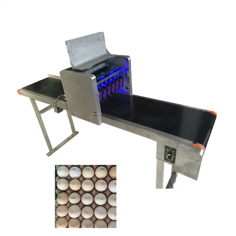Máquina de impressão de ovos, venda quente, máquina de impressão de ovos, carimbo, impressora de ovos, data de expiry