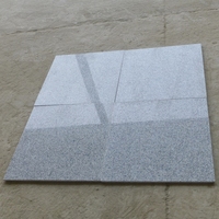 Revêtement mural et carreaux de sol en granit gris clair G603 pour l'extérieur, îlot de pierre naturelle en granit