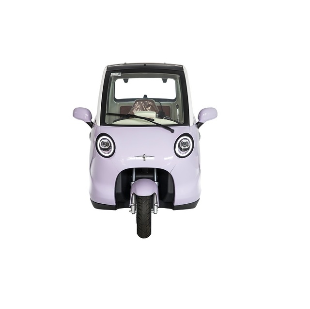 Household Fully Enclosed Handlebar Type Optional Electric Three-wheeled Car for Transporting Children and Adults