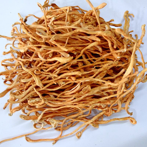 SHM marka yüksek kaliteli organik gıda ve ilaç çift amaçlı Cordyceps militaris doğal hava kurutulmuş Cordyceps - Product Image 5