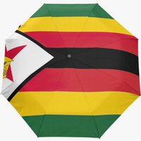 Parapluie entièrement automatique de haute qualité, imprimé drapeau Somaliland, style national créatif, protection UV pour photographie en extérieur