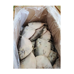 Xuất Khẩu Hải Sản <span class=keywords><strong>Moonfish</strong></span> 100-150G 150-200G 200 + G Đông Lạnh Cá Của Trung Quốc Iqf BqF Số Lượng Lớn Toàn Bộ Vòng Đông Lạnh <span class=keywords><strong>Moonfish</strong></span> - Product Image 5