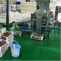 Volledig automatische olijvenvruchten koudpers extractiemachine commerciële productielijn voor extra vierge olijfolie
