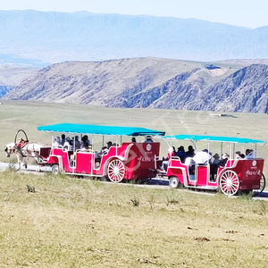 2024 Thiết Kế Mới Nhà Máy Giá Sang Trọng Ngựa Vận Chuyển Wagon Với 23 Chỗ Ngồi Công Suất Xe Ngựa/Ngựa Toa Xe/Ngựa Xe Ngựa - Product Image 3