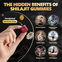 Gummies de Shilajit Or pour Adultes OEM ODM 100mg par Portion Miel de Manuka MGO 263 Himalayen 30 Unités Végétaliennes Sans Gélatine Testées en Laboratoire