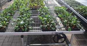 Panel de malla de alambre galvanizado, alambre de acero soldado de 16 calibres - Product Image 6