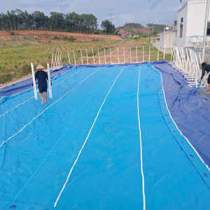 Precio adecuado Thuy Linh 3 años de garantía Piscina portátil Vietnam Garantía de seguridad durante el transporte Material de PVC - Product Image 5