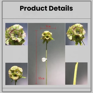 Fleur artificielle en soie de haute qualité, tige unique, Scabiosa blanche et verte avec capsule de graines, pour la décoration de la maison, les mariages et les arrangements floraux - Product Image 2