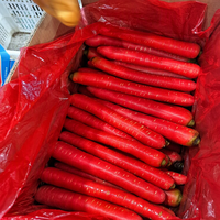Nouvelles récoltes de carottes rouges fraîches, directement de l'usine, prix bas, carottes jaunes propres et lavées