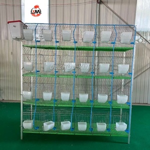 กรงกระต่ายเพื่อการค้าระยะยาว24ตำแหน่งบ้านกระต่ายไร้มูลสัตว์ - Product Image 4