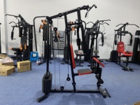 LT6280 Appareil de musculation multifonctionnel 1 poste pour la maison avec pile de poids de 43,25 kg pour importateurs et grossistes