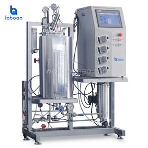 Fotobioreattori industriali produzione di alghe fermentatore bioreattore per alghe fotobioreattore pianta Photo fermentatore - Product Image 3