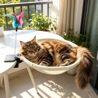 Hamac pour chat PKY en peluche rayée, pliable et épaissi, avec ventouses robustes pour balcon et fenêtre, lit confortable pour chats corpulents