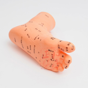 Modelo de Reflexología Podal Zh de 13 cm, Herramienta de Entrenamiento de Acupuntura Reutilizable de PVC - Product Image 5