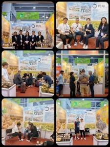 Cung cấp bán buôn Tuyết Trắng Hạt Bí Ngô Hữu Cơ 11mm-15mm lớp AA - Product Image 5