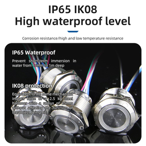 19 מ "מ pushbutton 22 מ" מ pushbutton קצר נסיעות קצר אדום אדום כחול נירוסטה מתגים 12v ip65 - Product Image 3