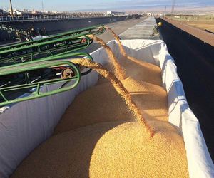 Custom Style PP+PE Dry Bulk Container Liner <b>Bags</b> 20ft for Cocoa Soybeans and <b>Wheat</b> Grains Big <b>Bag</b> - Product Image 6