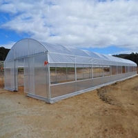 Serres agricoles tunnel monopente en film plastique pour légumes, fleurs, tomates et jardins