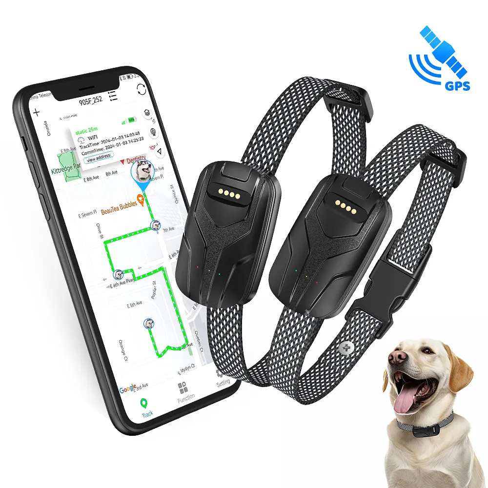 4G WiFi akıllı köpek izci bulucu yaka rarador GPS Pet aktivite izleme Hund anti-kayıp izci gerçek zamanlı izleme için